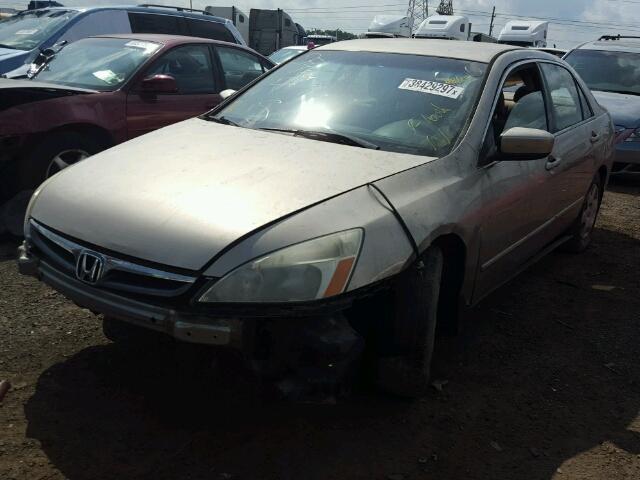 3HGCM56417G703204 - 2007 HONDA ACCORD GOLD photo 2