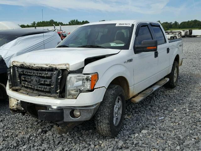 1FTFW1EV1AFA06469 - 2010 FORD F150 WHITE photo 2