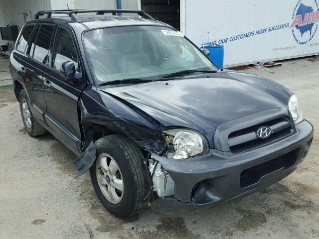 KM8SC13E65U012484 - 2005 HYUNDAI SANTA FE G BLUE photo 1