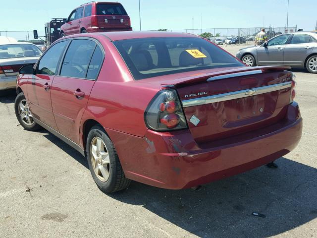 1G1ZT54895F248837 - 2005 CHEVROLET MALIBU LS 红色 照片 3