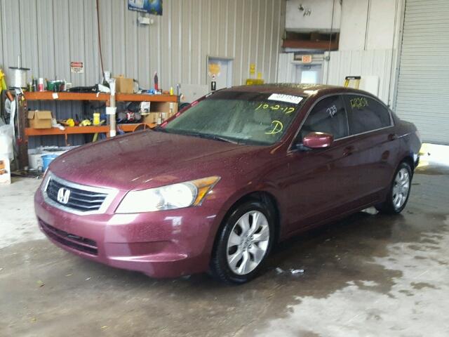 1HGCP26858A105870 - 2008 HONDA ACCORD EXL MAROON photo 2