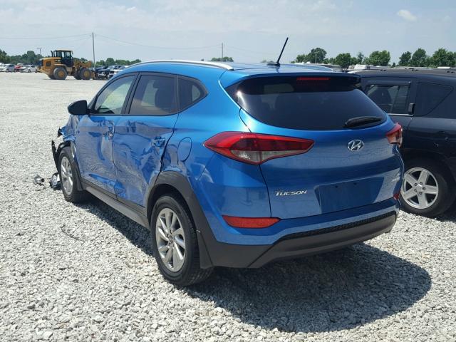 KM8J3CA44HU272470 - 2017 HYUNDAI TUCSON LIM BLUE photo 3