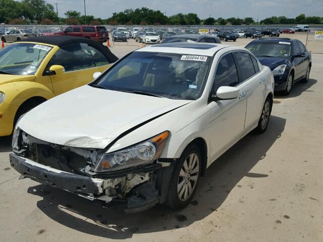 1HGCP3F81CA023729 - 2012 HONDA ACCORD EXL WHITE photo 2