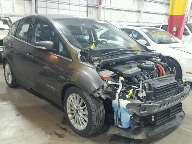 1FADP5BU3DL548367 - 2013 FORD C-MAX SEL GRAY photo 1