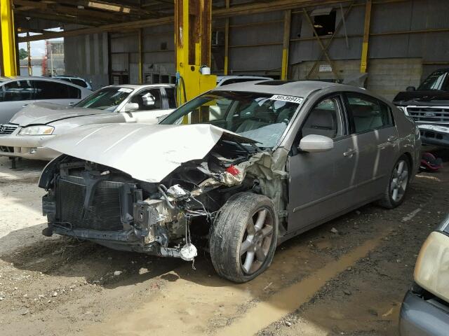 1N4BA41E75C810339 - 2005 NISSAN MAXIMA GOLD photo 2