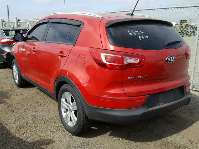 KNDPB3A25D7405150 - 2013 KIA SPORTAGE B RED photo 3