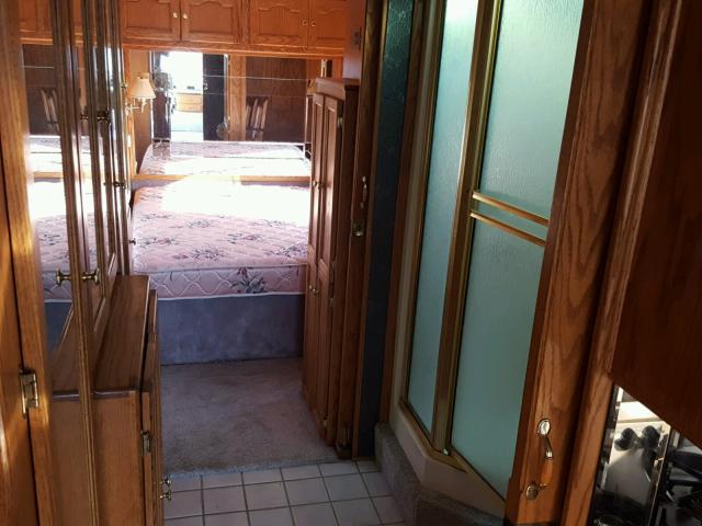 1RF120616R1010742 - 1994 ROADMASTER RAIL EXECUTIVE/ BROWN photo 9