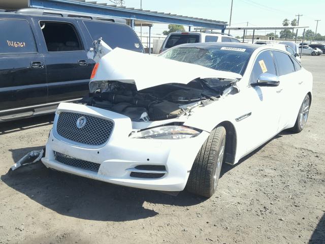 SAJWA2GB9CLV36976 - 2012 JAGUAR XJL BASE WHITE photo 2