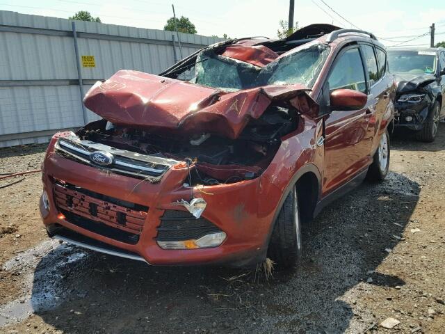 1FMCU9G91GUB86768 - 2016 FORD ESCAPE RED photo 2