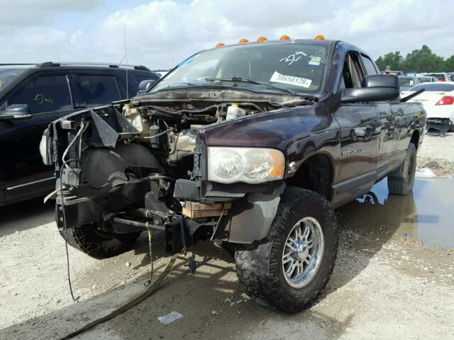 3D7KR28C45G727661 - 2005 DODGE RAM 2500 S Bənövşəyi foto 2