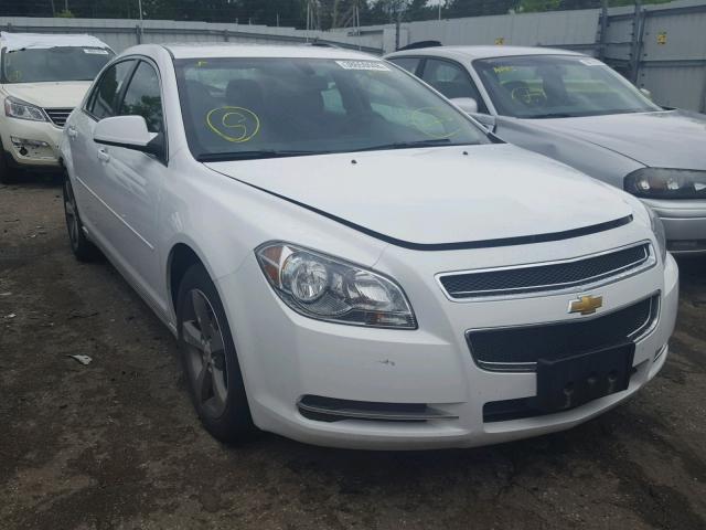 1G1ZC5E19BF254800 - 2011 CHEVROLET MALIBU 1LT 白色 照片 1