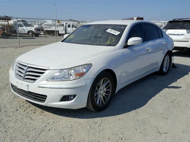 KMHGC4DE5BU136330 - 2011 HYUNDAI GENESIS 3. WHITE photo 2