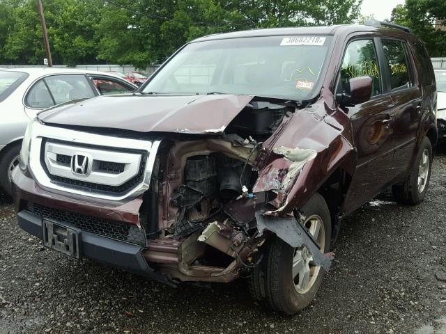 5FNYF4H72BB047156 - 2011 HONDA PILOT EXLN BURGUNDY photo 2