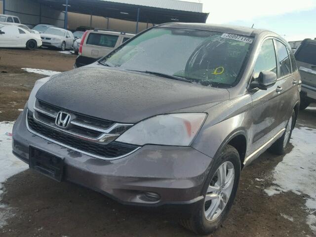 5J6RE4H7XBL055648 - 2011 HONDA CR-V BROWN photo 2