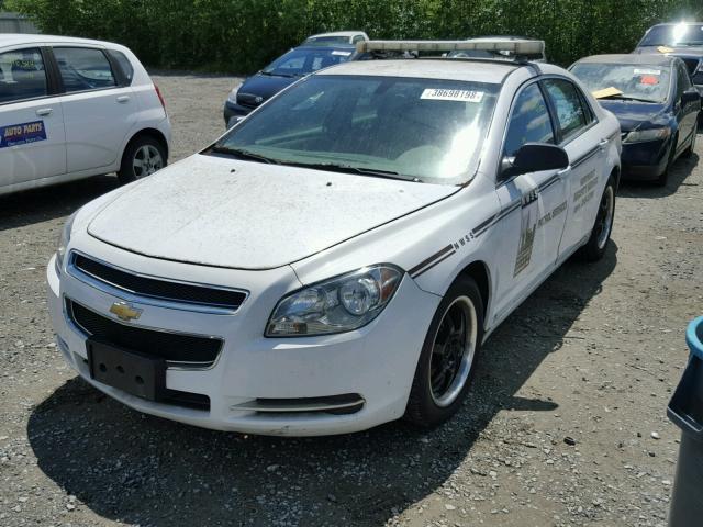 1G1ZG57B99F127565 - 2009 CHEVROLET MALIBU LS 白色 照片 2