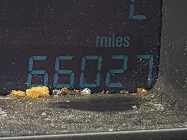 1G1JB5SH7E4209808 - 2014 CHEVROLET SONIC LS RED photo 8