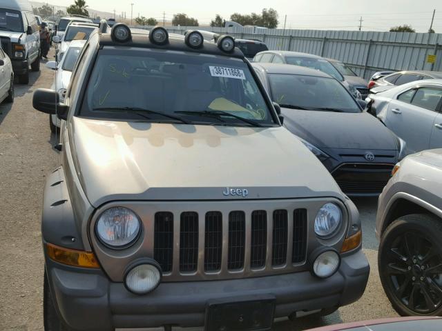 1J8GL38K45W626435 - 2005 JEEP LIBERTY RE 绿色 照片 10