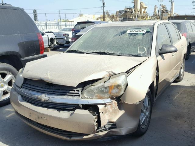 1G1ZT54835F288394 - 2005 CHEVROLET MALIBU LS Qızıl foto 2