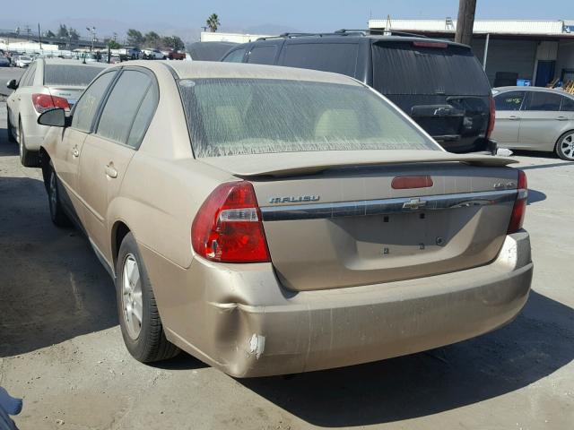 1G1ZT54835F288394 - 2005 CHEVROLET MALIBU LS Qızıl foto 3
