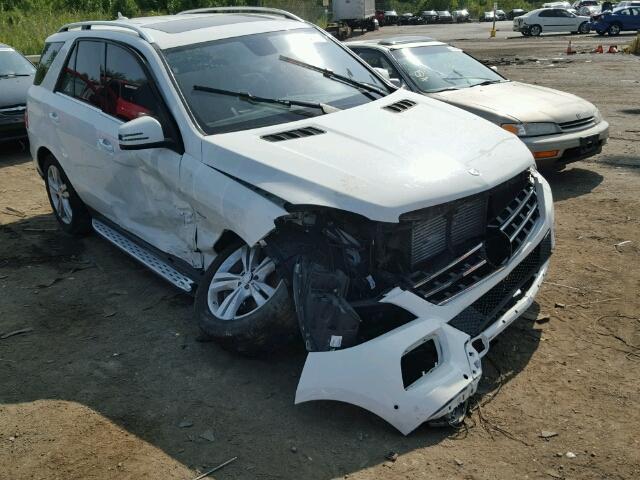 4JGDA2EB3CA080909 - 2012 MERCEDES-BENZ ML 350 BLU WHITE photo 1
