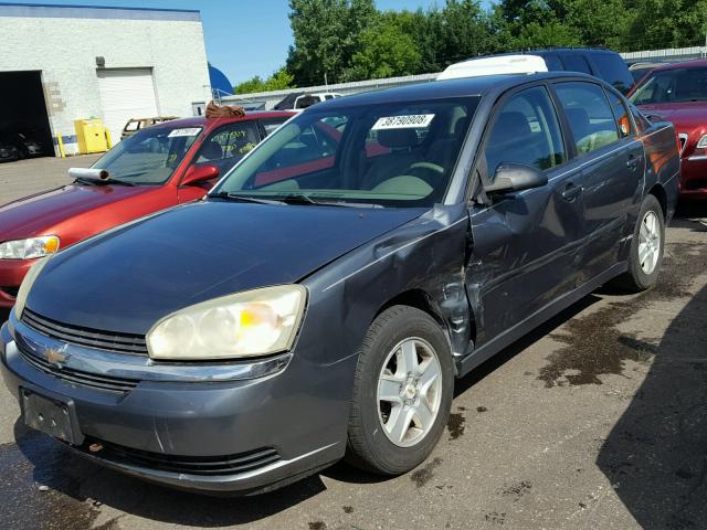 1G1ZT52835F307917 - 2005 CHEVROLET MALIBU LS Boz foto 2