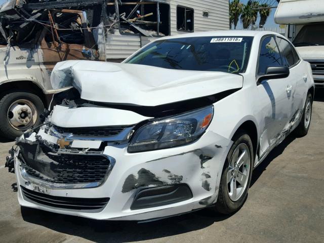 1G11B5SL3EF214481 - 2014 CHEVROLET MALIBU LS 白色 照片 2