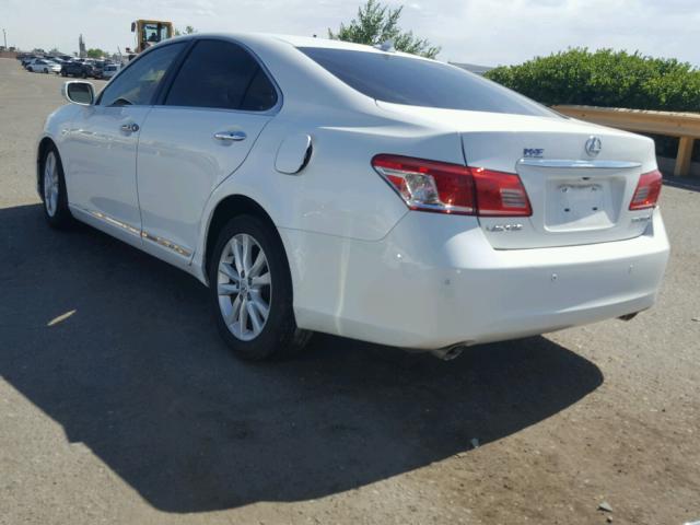 JTHBK1EGXA2371346 - 2010 LEXUS ES 350 WHITE photo 3