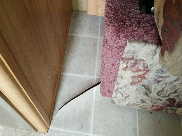 1YDT25F265E315048 - 2005 KEYSTONE HORNET WHITE photo 5