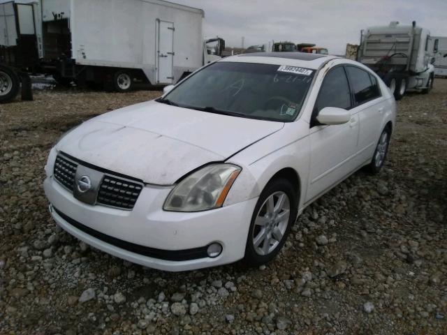 1N4BA41E96C858992 - 2006 NISSAN MAXIMA SE WHITE photo 2