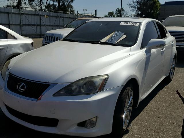 JTHBF5C27A5126652 - 2010 LEXUS IS 250 WHITE photo 2