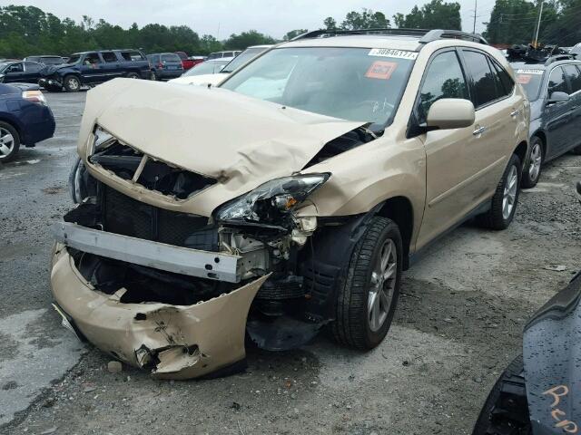 2T2HK31U69C125311 - 2009 LEXUS RX 350 GOLD photo 2