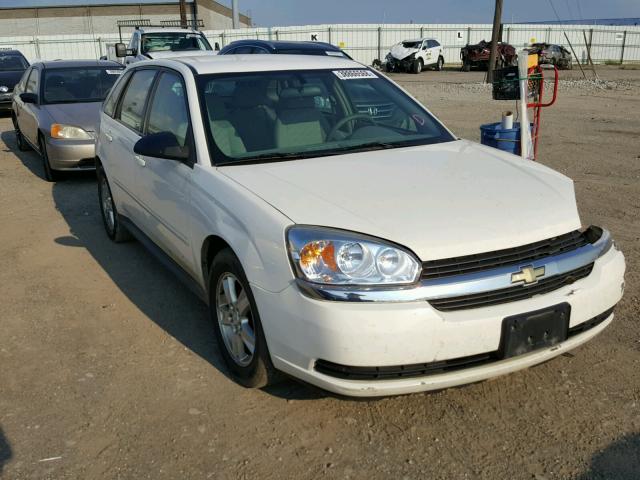 1G1ZT62805F306200 - 2005 CHEVROLET MALIBU MAX 白色 照片 1