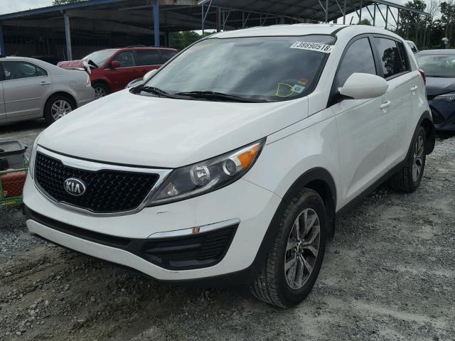 KNDPB3AC3E7640740 - 2014 KIA SPORTAGE B WHITE photo 2