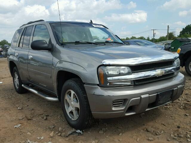 1GNDT13S962101974 - 2006 CHEVROLET TRAILBLAZE TAN photo 1