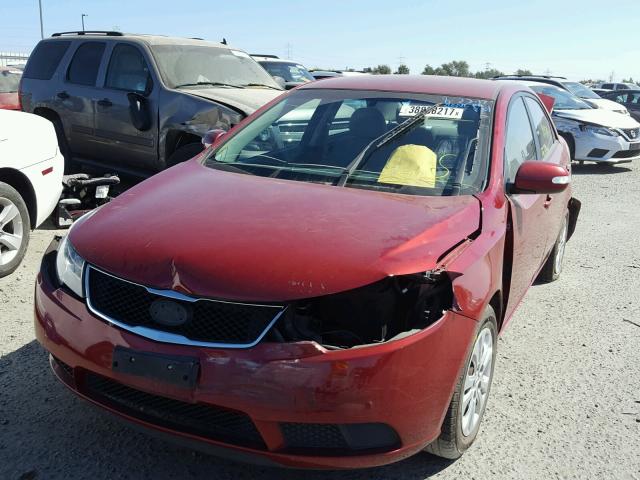 KNAFU4A26A5133661 - 2010 KIA FORTE EX RED photo 2