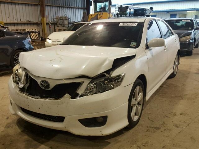 4T1BF3EK2AU567934 - 2010 TOYOTA CAMRY BASE WHITE photo 2