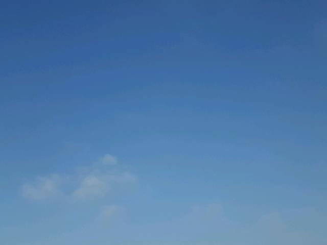 1G3AM19R7GD339549 - 1986 OLDSMOBILE CUTLASS CI WHITE photo 10