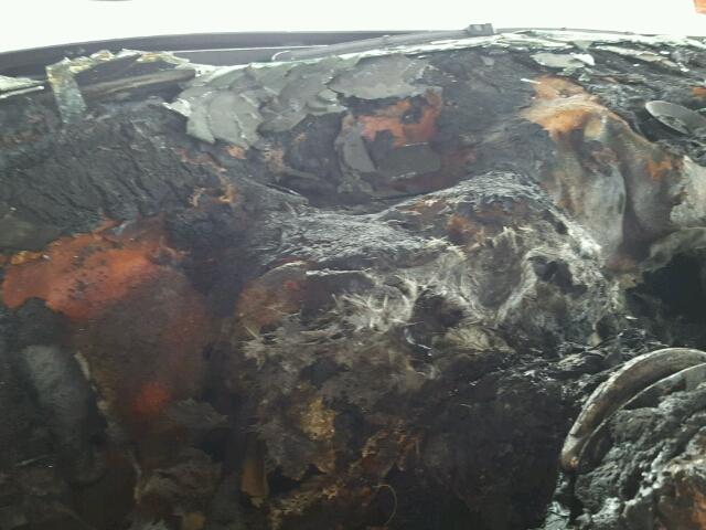 5UXFG83589LZ93088 - 2009 BMW X6 BLACK photo 8