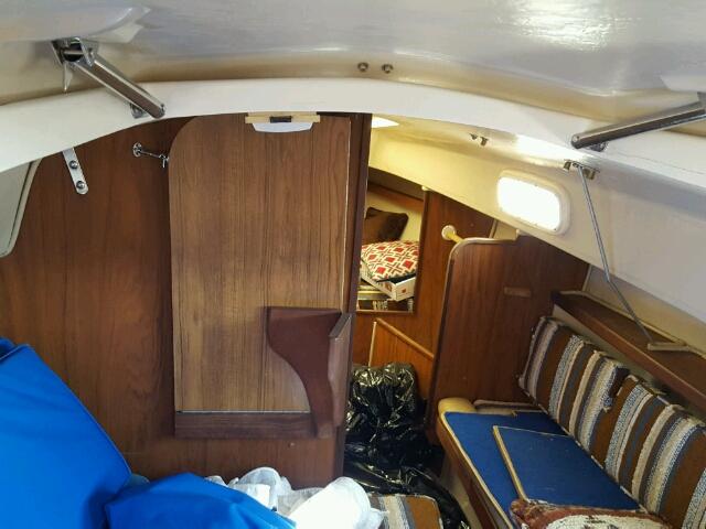 CPY24109M79H - 1979 CAPI BOAT Ақ фото 8