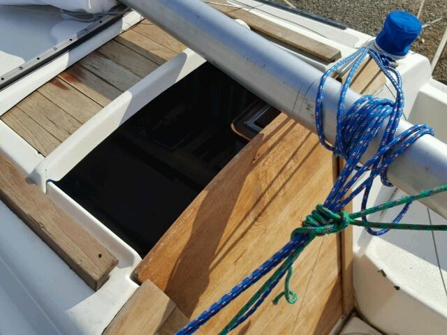 CPY24109M79H - 1979 CAPI BOAT Ақ фото 9