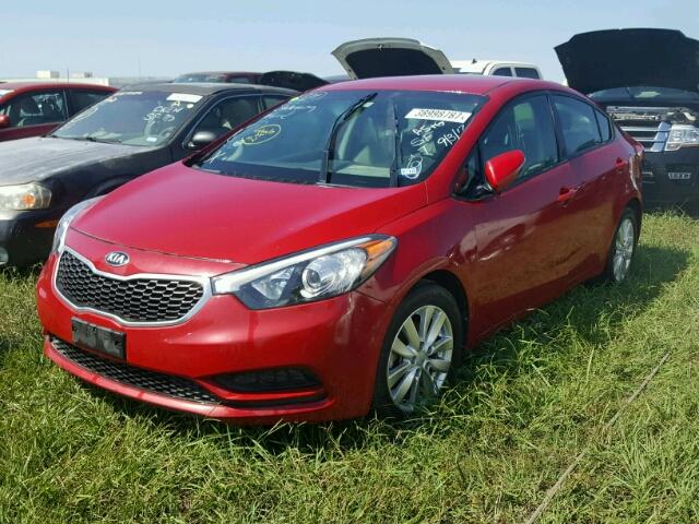 KNAFX4A60E5165182 - 2014 KIA FORTE RED photo 2