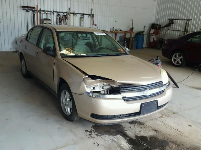 1G1ZT54835F200203 - 2005 CHEVROLET MALIBU LS ოქროსფერი ფოტო 1