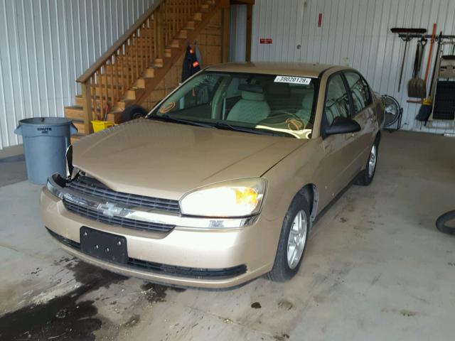 1G1ZT54835F200203 - 2005 CHEVROLET MALIBU LS ოქროსფერი ფოტო 2