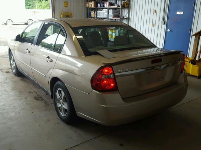 1G1ZT54835F200203 - 2005 CHEVROLET MALIBU LS ოქროსფერი ფოტო 3