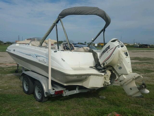 JNT16863D909 - 2009 NAUT BOAT TAN photo 3