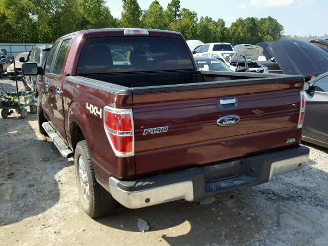 1FTFW1EVXAFD04082 - 2010 FORD F150 SUPER MAROON photo 3