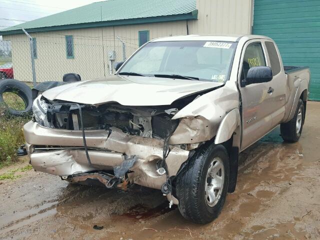 5TEUU42N67Z374547 - 2007 TOYOTA TACOMA ACC GOLD photo 2