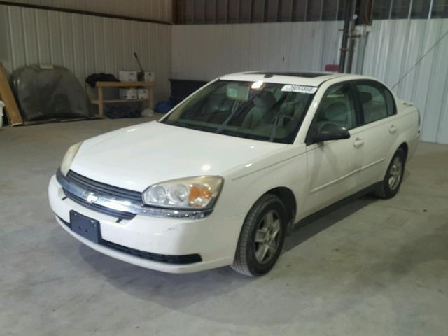 1G1ZT54825F311647 - 2005 CHEVROLET MALIBU LS Ağ foto 2