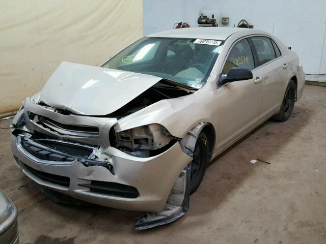 1G1ZB5E13BF265312 - 2011 CHEVROLET MALIBU LS თაფლისფერი ფოტო 2