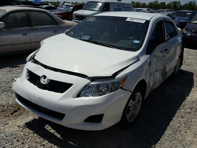 1NXBU4EE0AZ266276 - 2010 TOYOTA COROLLA BA WHITE photo 2